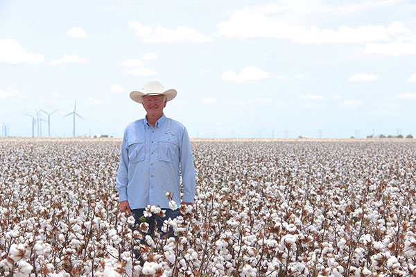 Jimmy Dodson standing in a cotton field