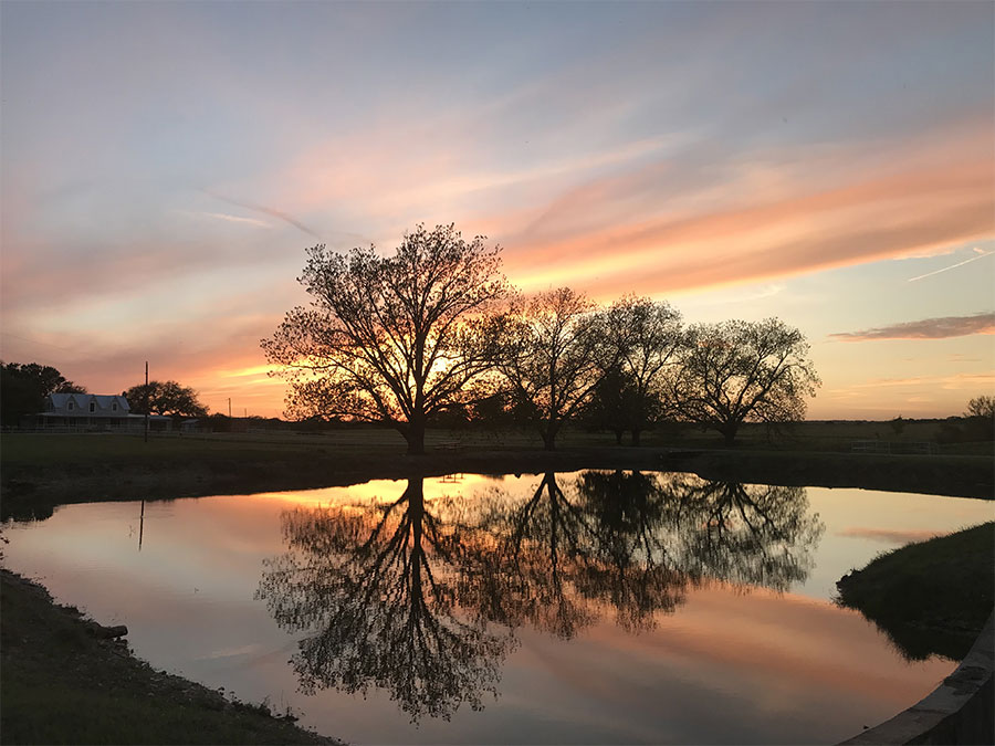 Photo of a lake reflecting a beautiful sunset and shadows of a bunch of trees