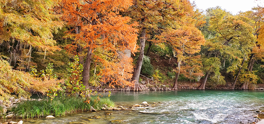 Photo of a riverbank where the trees are all shades of fall colors