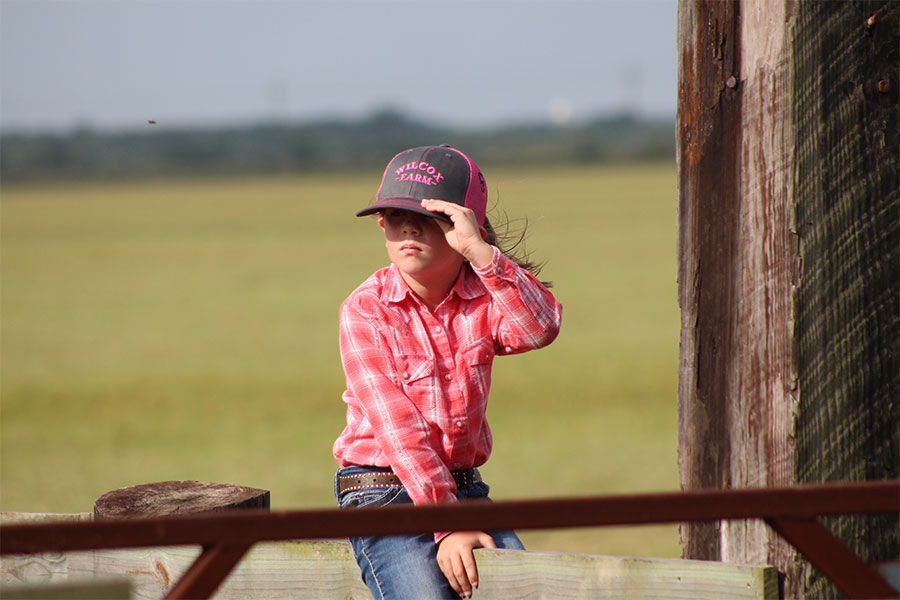 Photo of a young girl sitting on a fence on a farm