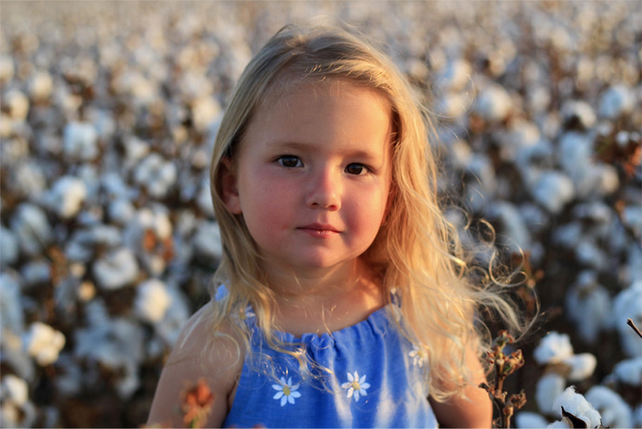 "Cuteness in the Cotton" by Ashley Zdansky