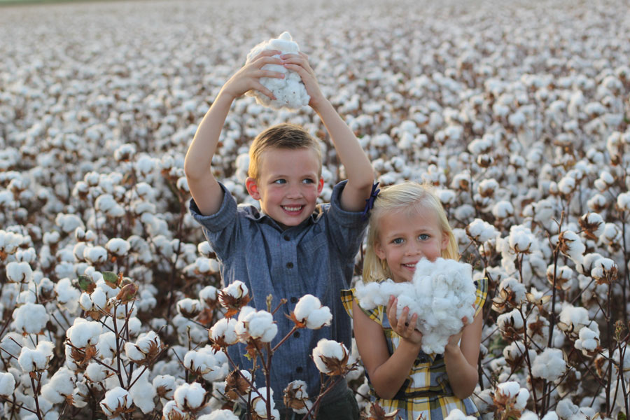 Two children in a cotton field