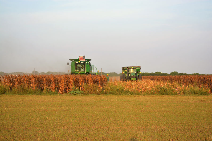 "Feeding America" by Robyn Harlan