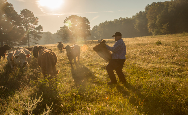 Information About Us |  Texas Farm Credit