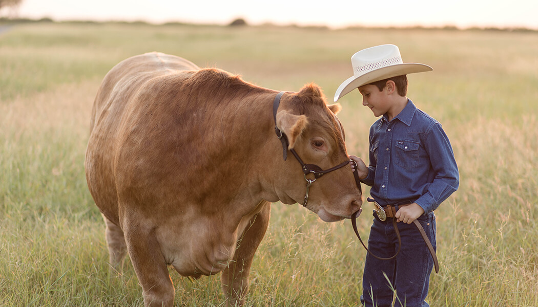 Boy wearing a cowboy hat leading a cow