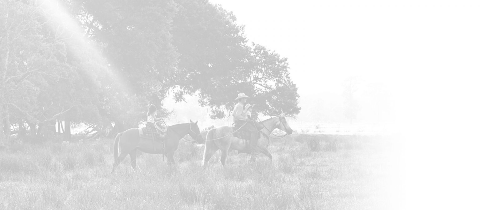 Texas Farm Credit Land, Real Estate, Agriculture and Farm Loans