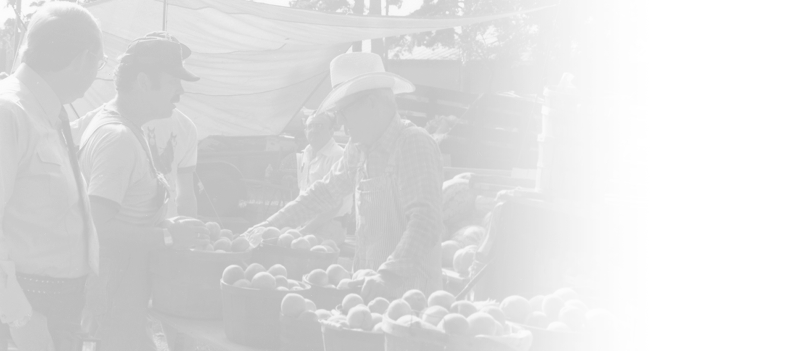 Farmer selling crops at the market